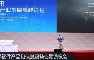 第十三屆中國南京軟博會開幕，聚焦互聯網信息服務新趨勢